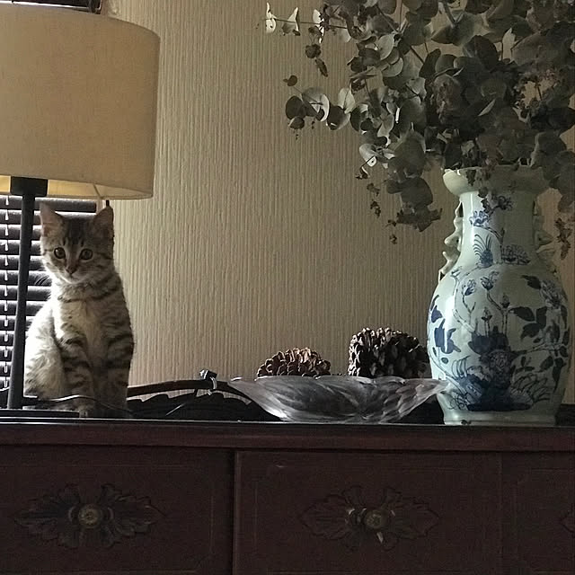 yukikoさんの実例写真