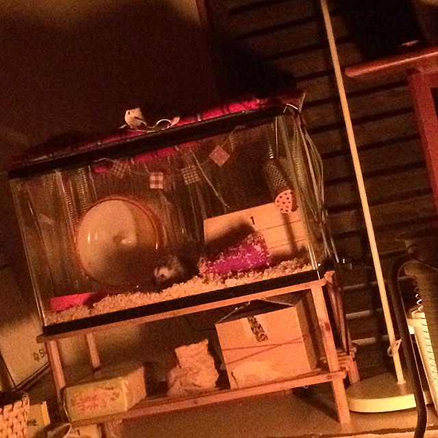 NaoMさんの実例写真