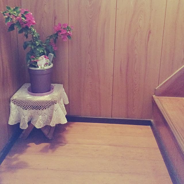 yakkoさんの実例写真