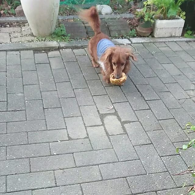 a....m.....さんの実例写真