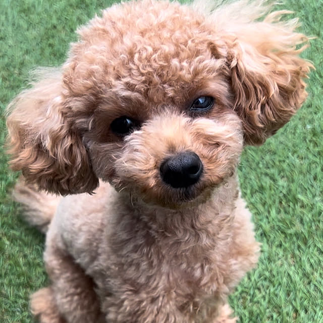 makiさんの実例写真