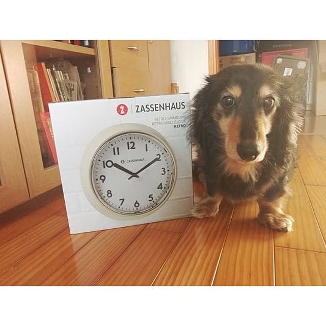 ZASSENHAUS_rightさんの実例写真