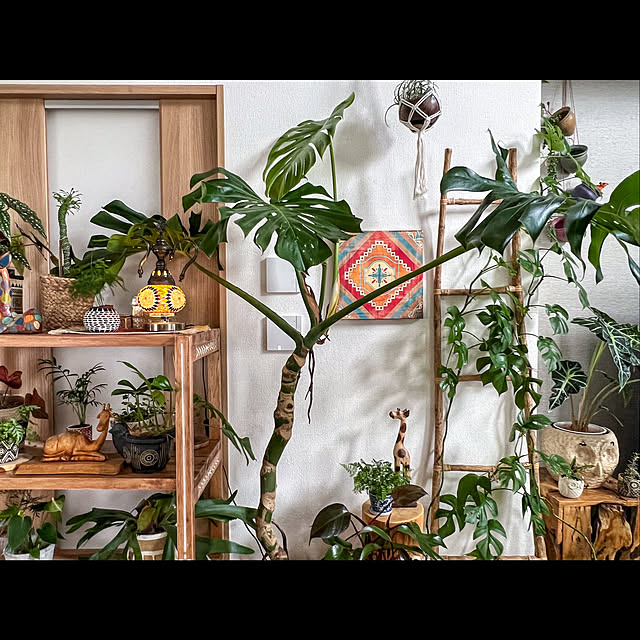 h_a_n_a_y_u_iさんの実例写真