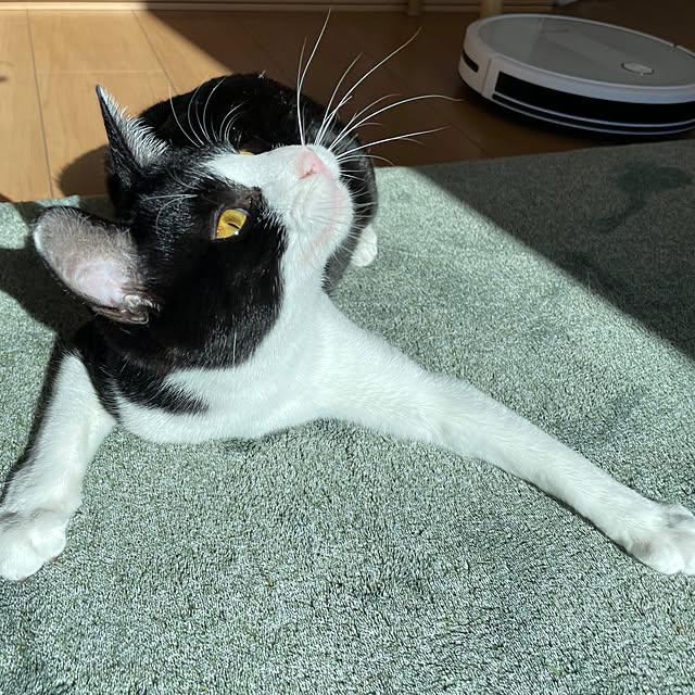 suyaさんの実例写真