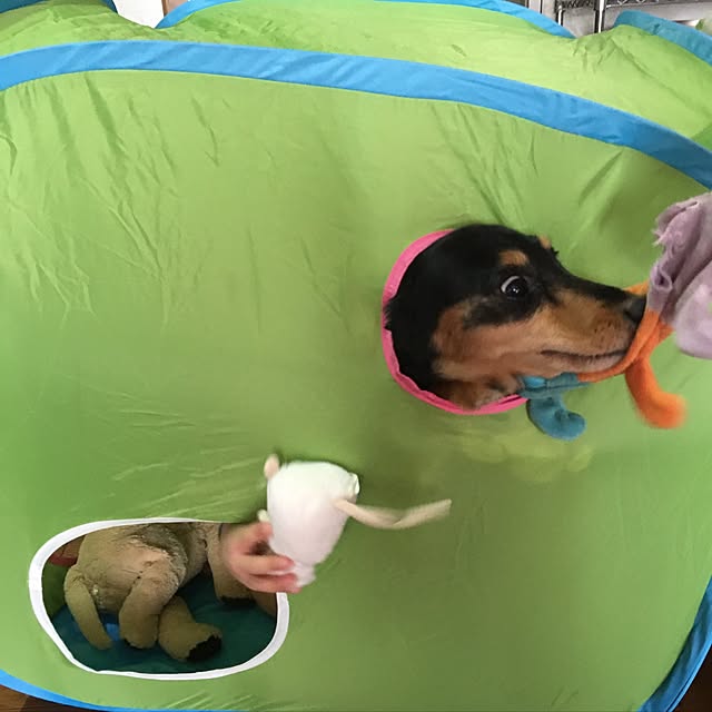 ohanaさんの実例写真