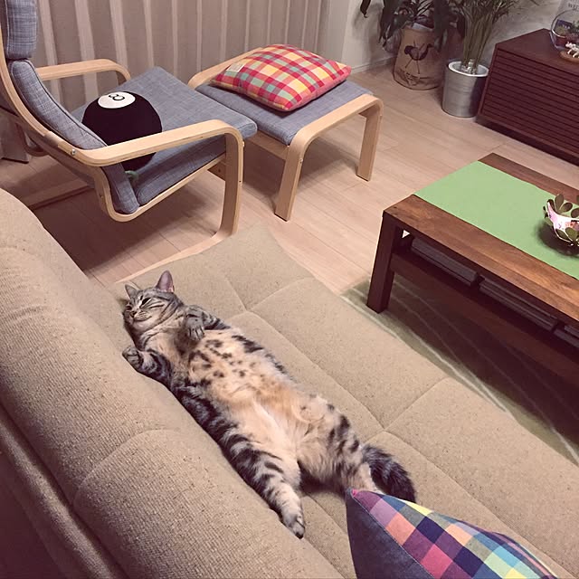 y.k.0123さんの実例写真