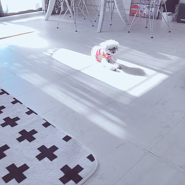 kaoさんの実例写真