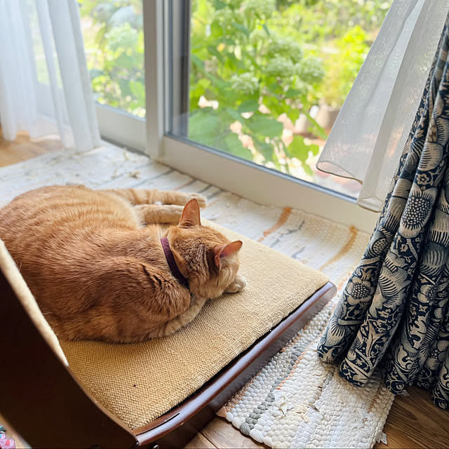 Maruさんの部屋