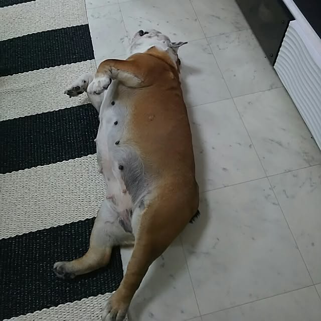 AandPさんの実例写真