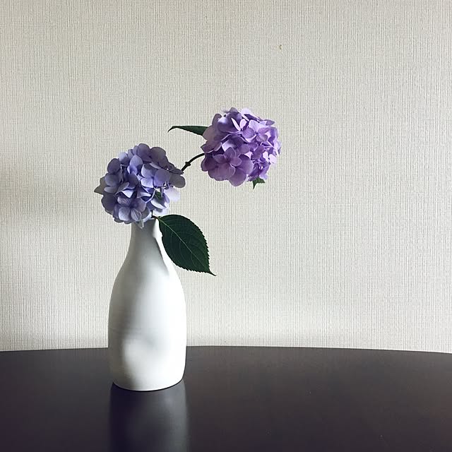 tirolさんの実例写真