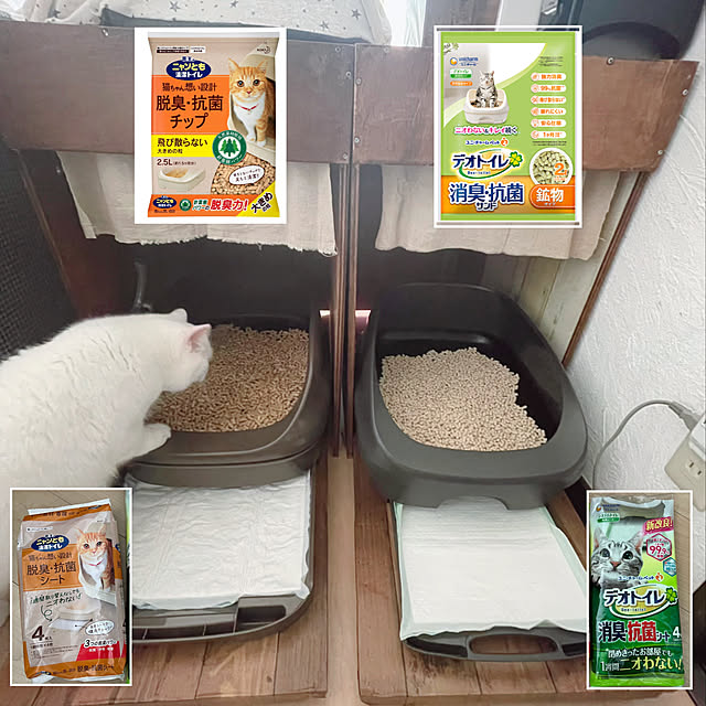 kotoriさんの実例写真