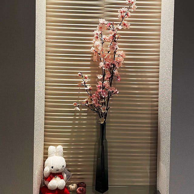 kazumiさんの部屋