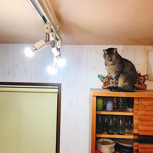 pepeさんの実例写真