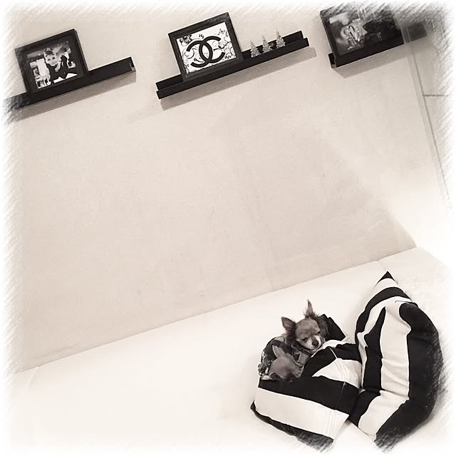 Yukoさんの実例写真
