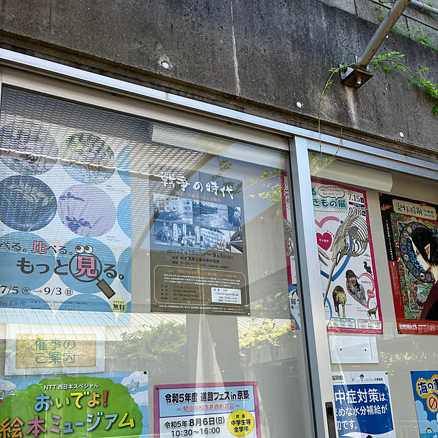 koshiregutyoさんの部屋