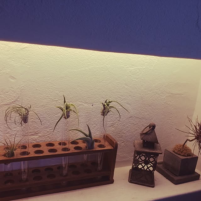 mjさんの実例写真