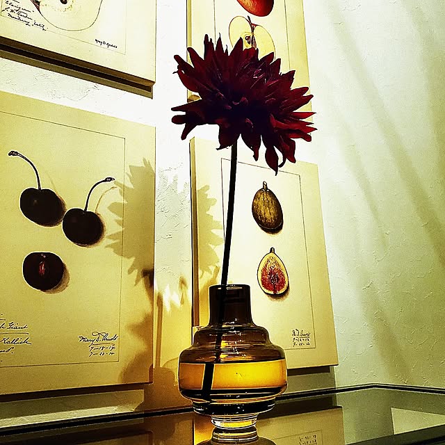 rimoleoさんの実例写真