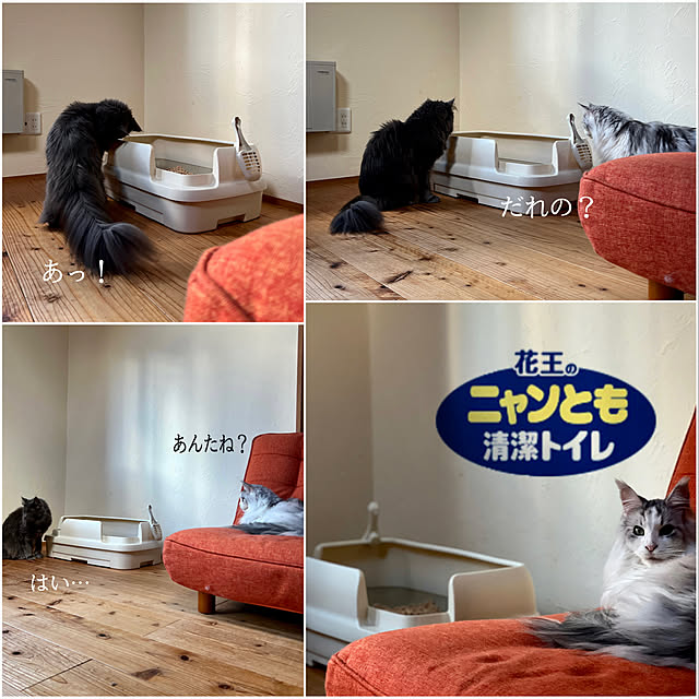 Kikko.さんの実例写真