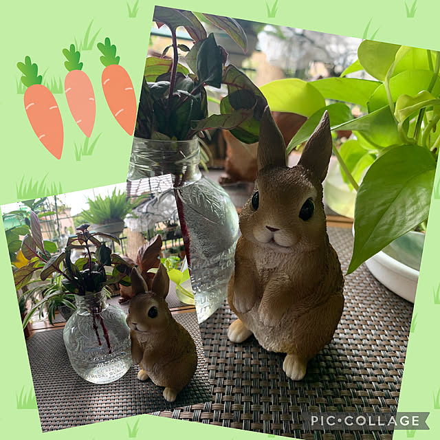 Aqettyさんの実例写真