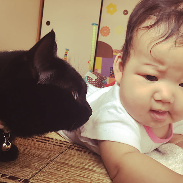 nyam0v0さんの実例写真