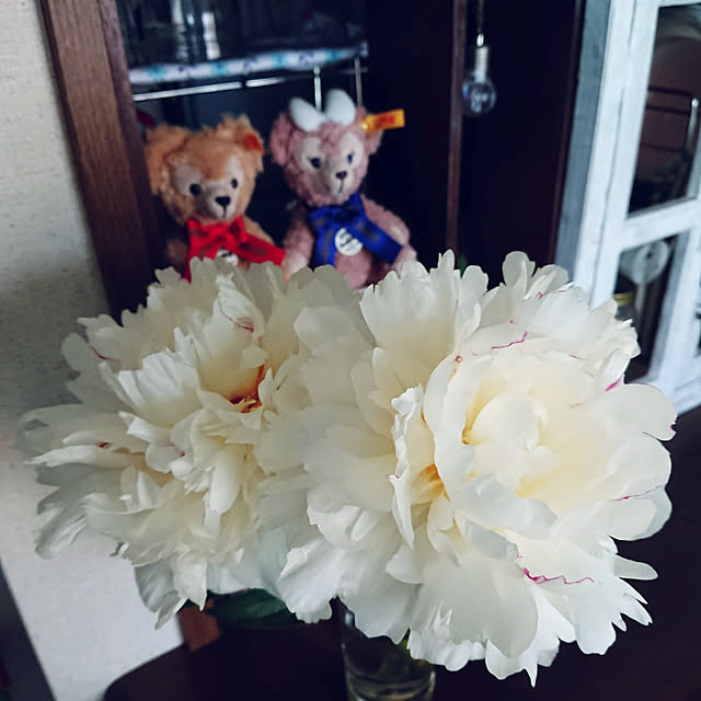 todorinkoさんの実例写真