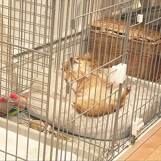 comoさんの実例写真