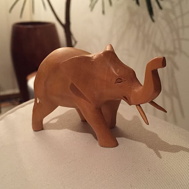 shinさんの実例写真