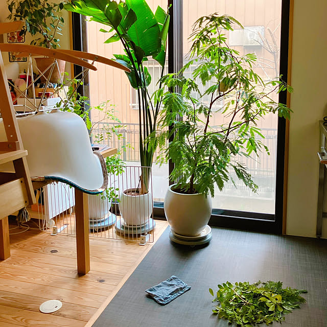 akanekoさんの実例写真