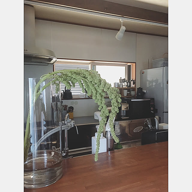mionakiseさんの実例写真