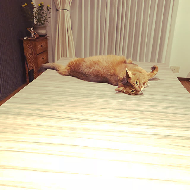 yuさんの実例写真