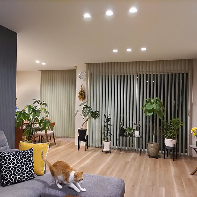 houenさんの部屋