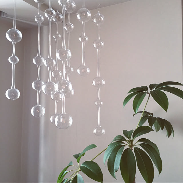 観葉植物/イッタラ/アテネの朝/ツピタンサス/ガラスモビール 観葉植物/イッタラ/アテネの朝/ツピタンサス/ガラスモビール