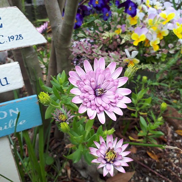 min_nimさんの実例写真