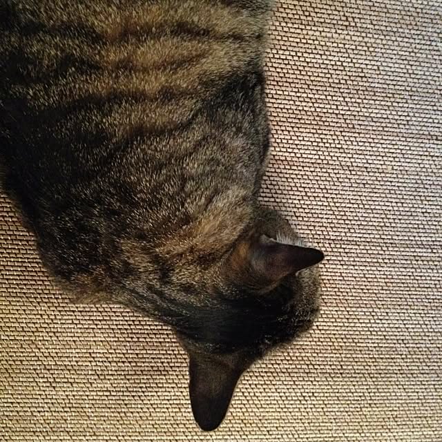 sellyoakさんの実例写真