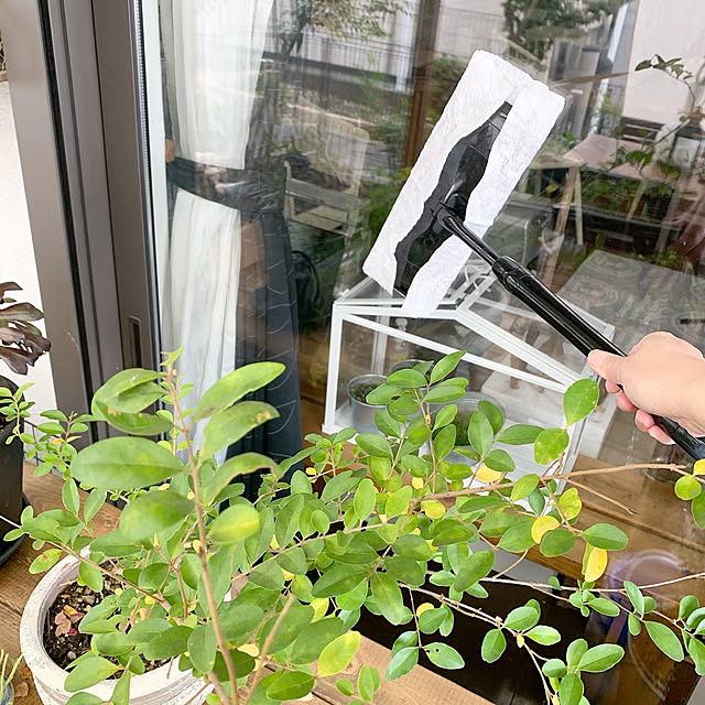 kuroさんの実例写真