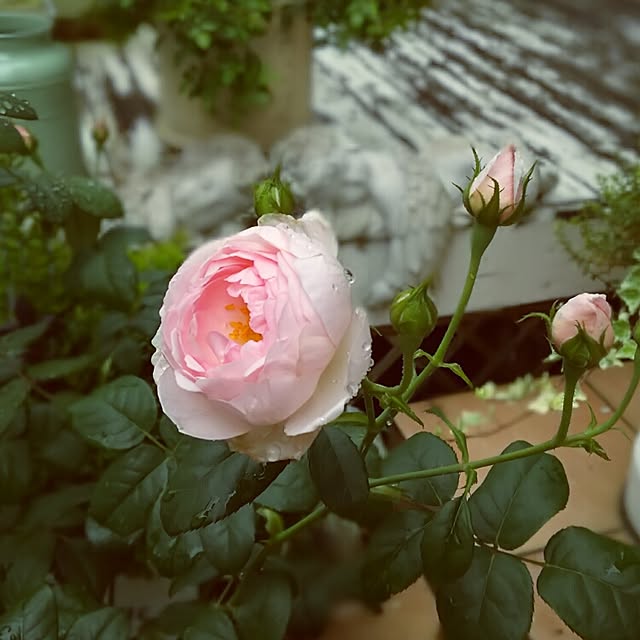 s.mamaさんの実例写真