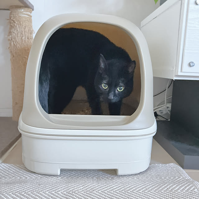 nekomiさんの部屋