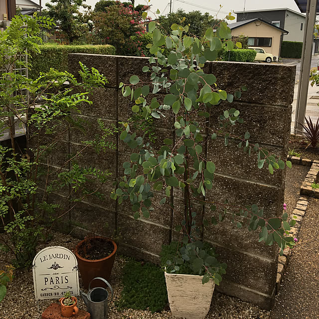 sanw2225719さんの実例写真