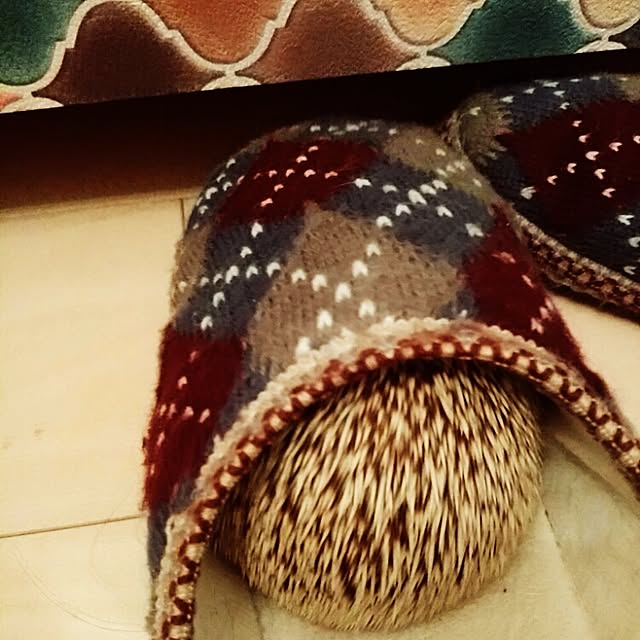 kuruさんの実例写真