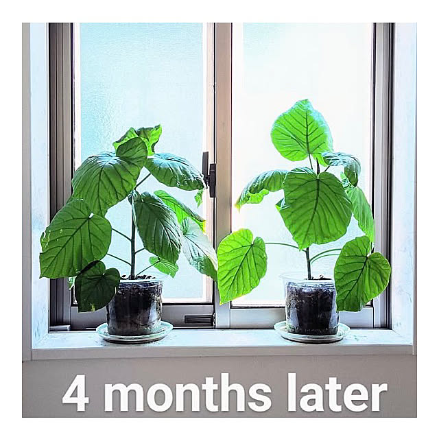 MOMOMAMAさんの部屋