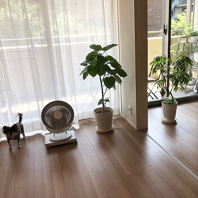 iwamayuさんの実例写真