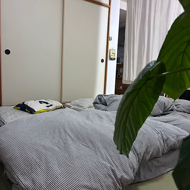 sakiさんの実例写真