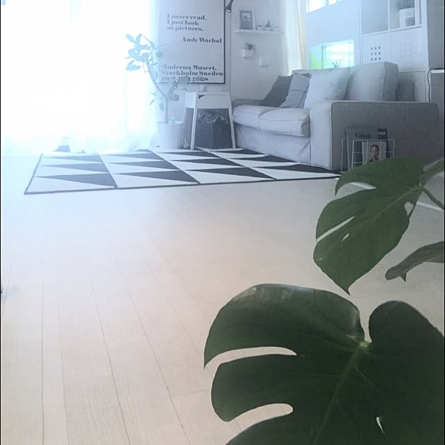 cocoさんの実例写真