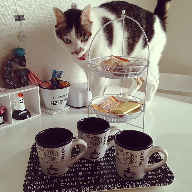 Sakiさんの実例写真