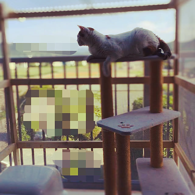 krmgさんの実例写真