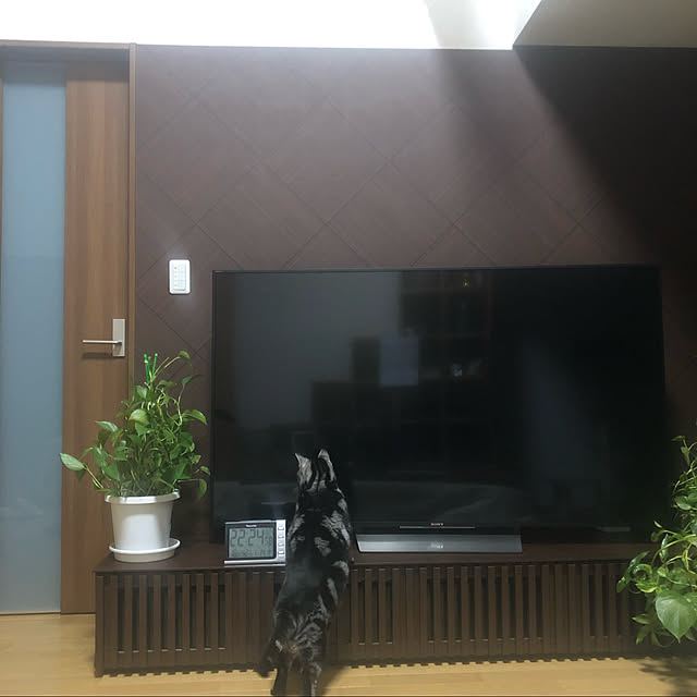 jokerdevil0709さんの実例写真