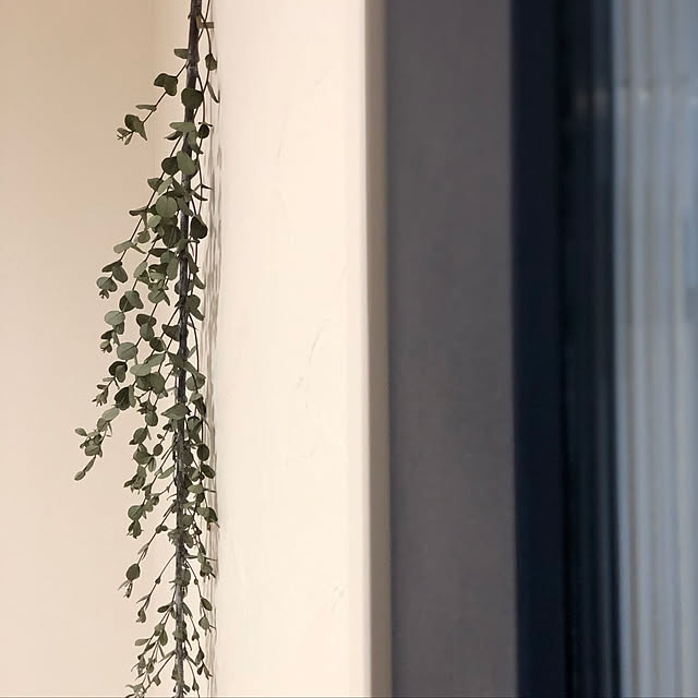 h.s.home.yさんの実例写真