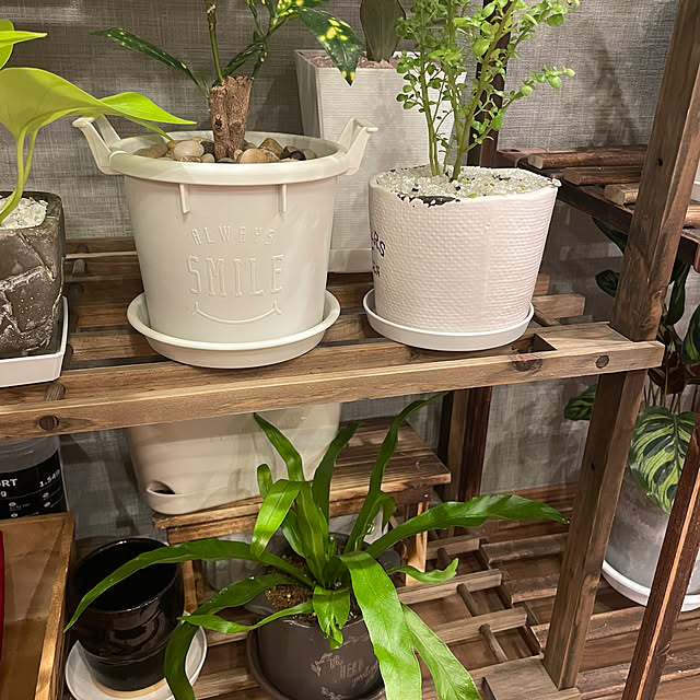 ikuzakさんの部屋