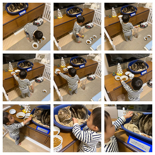 mikomaruさんの実例写真