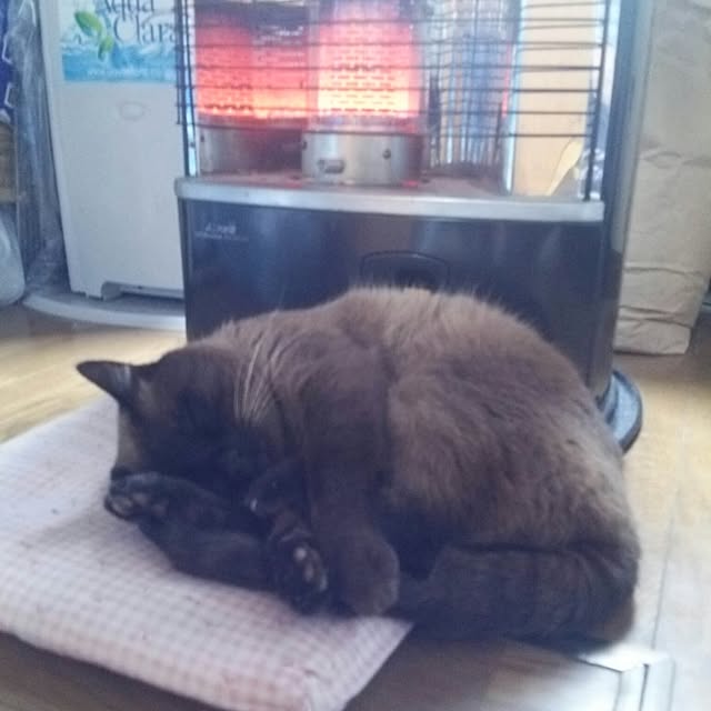 ricoさんの実例写真